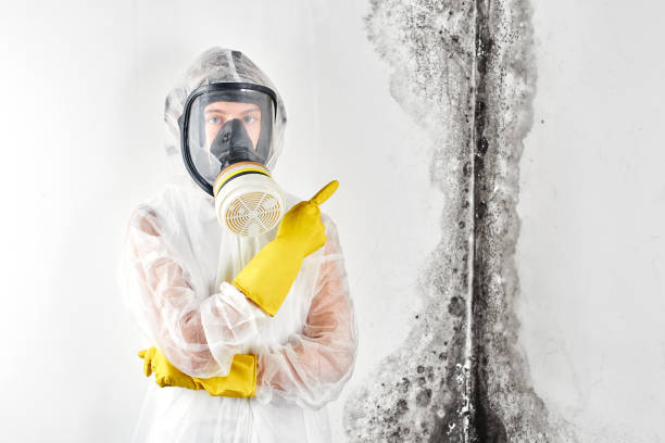 Best Forensic Mold Investigation  in Middletown, MD