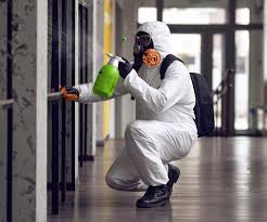 Best Environmental Consulting for Mold Prevention  in Middletown, MD